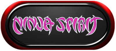 Ninja Spirit-marquee.png