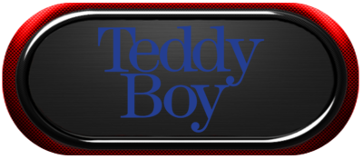 Teddy Boy (USA, Europe).png